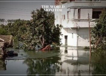 Bridge Collapse Floods Residential & Agricultural Areas in Egypt