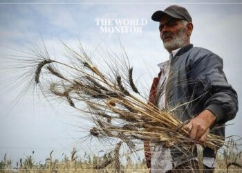 Tunisia's Food Security Faces Challenges Amid Drought