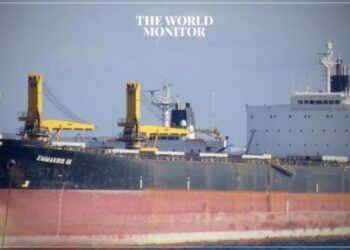 Russia Detains Egyptian Wheat Ships over Document Concerns