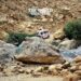 17 Killed & 41 Injured in Road Accident in Pakistan