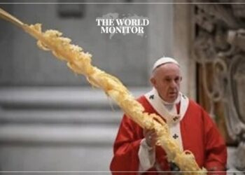 Pope Francis Calls for Immediate Ceasefire in Gaza