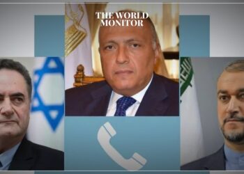 Egypt Calls for Diplomatic Solutions in Middle East Crises