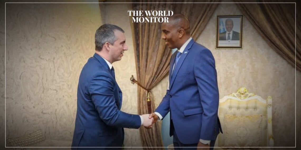 Somalia & Serbia Discuss Bilateral Cooperation