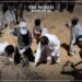 EU Demands Investigation into Gaza Hospital Mass Graves
