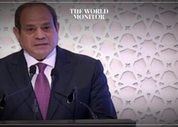 Egypt Stresses Continued Efforts to Ease Gaza Crisis