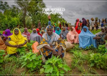 FAO: Billion People in Africa Suffer from Health Issues