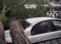 Unstable Weather Causes Casualties in Syria