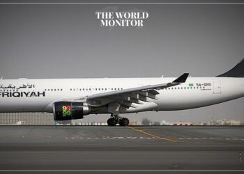African Airlines Denies Plane Detained in Niger