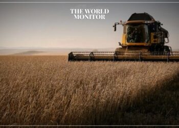 Russia Supports Egypt's National Agricultural Project