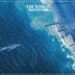 Aid Begins Flowing into Gaza over U.S. Pier