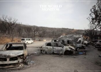 Algeria Battles Severe Wildfires