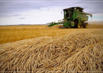 Algeria Tenders to Buy 50,000 Tons of Wheat Flour