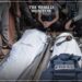 5 Journalists Killed Weekly in Gaza