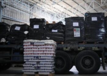 UAE Delivers 400 Tons of Food Aid to Gaza