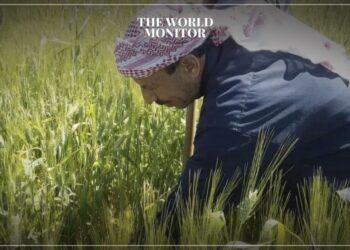 14.5 Million Syrians Suffer Poverty