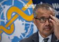 WHO Warns of Humanitarian Situation in Gaza