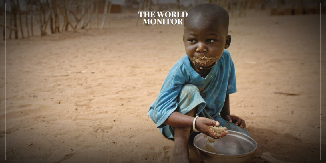 Sahel Region Faces Severe Food Shortages