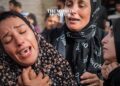 WHO Confirms Accuracy of Gaza Death Toll Figures