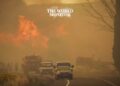 Deadly Wildfire Kills 5 in Turkey