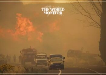 Deadly Wildfire Kills 5 in Turkey