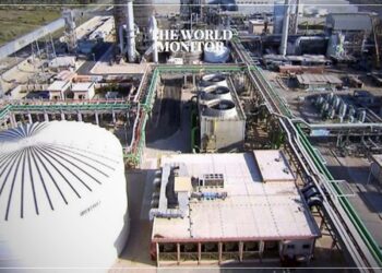 Egypt’s MOPCO Halts Operations Due to Gas Shortage