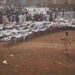 Dozens Killed in Clashes in Sudan’s Wad al-Noura