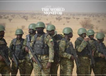 3 Officials & 1 Soldier Killed in Armed Attack in Niger