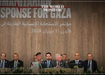 Leaders Call for Immediate Ceasefire in Gaza