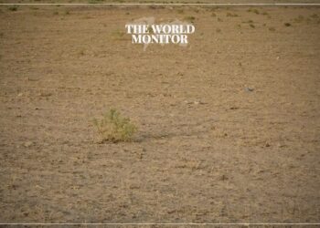 15,000 Hectares of Land Desertified in Syria