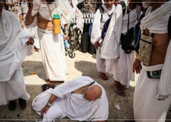 16 Egyptian Tour Operators Lose Licenses Over Unauthorized Hajj Trips