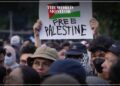 Indonesia Advocates for UN-Mandated Peacekeeping Mission in Gaza