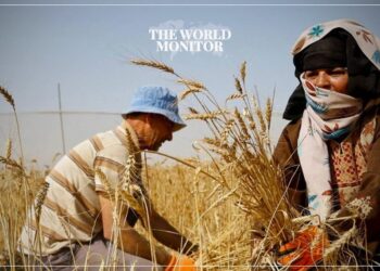 57% of Gaza’s Agricultural Land Destroyed