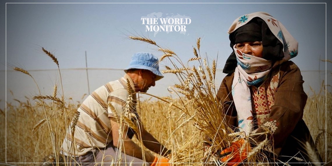 57% of Gaza’s Agricultural Land Destroyed
