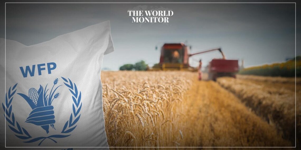 UN World Food Programme Halts Operations in Gaza