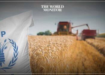 UN World Food Programme Halts Operations in Gaza