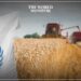 UN World Food Programme Halts Operations in Gaza