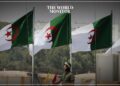 Algerian Senate Urges Participation in Upcoming Presidential Election