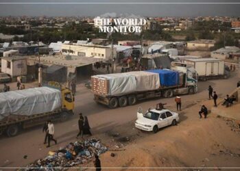 Egypt Stresses Humanitarian Access to Gaza