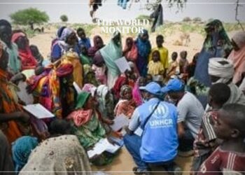 60,000 Displaced by Fighting in Sudan's Sinja Town