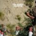 Algerian Army Detains 10 Terrorists