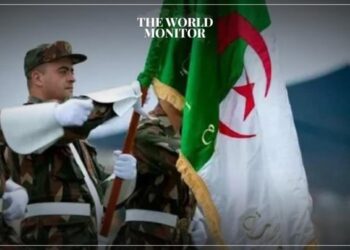 Algeria Captures 5 Terrorists in Military Operations