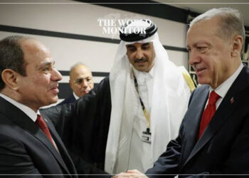 Egyptian & Turkish Presidents Discuss Libyan Crisis