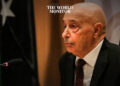 Egypt-Turkey Rapprochement ‘Key’ to Solving Libya Crisis