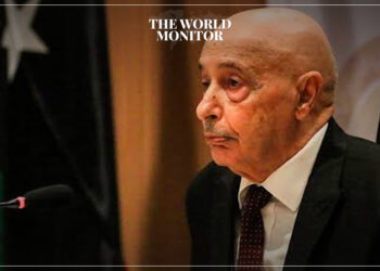 Egypt-Turkey Rapprochement ‘Key’ to Solving Libya Crisis