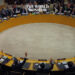 UN African Group Calls for Special Representative to Address Libya Crisis