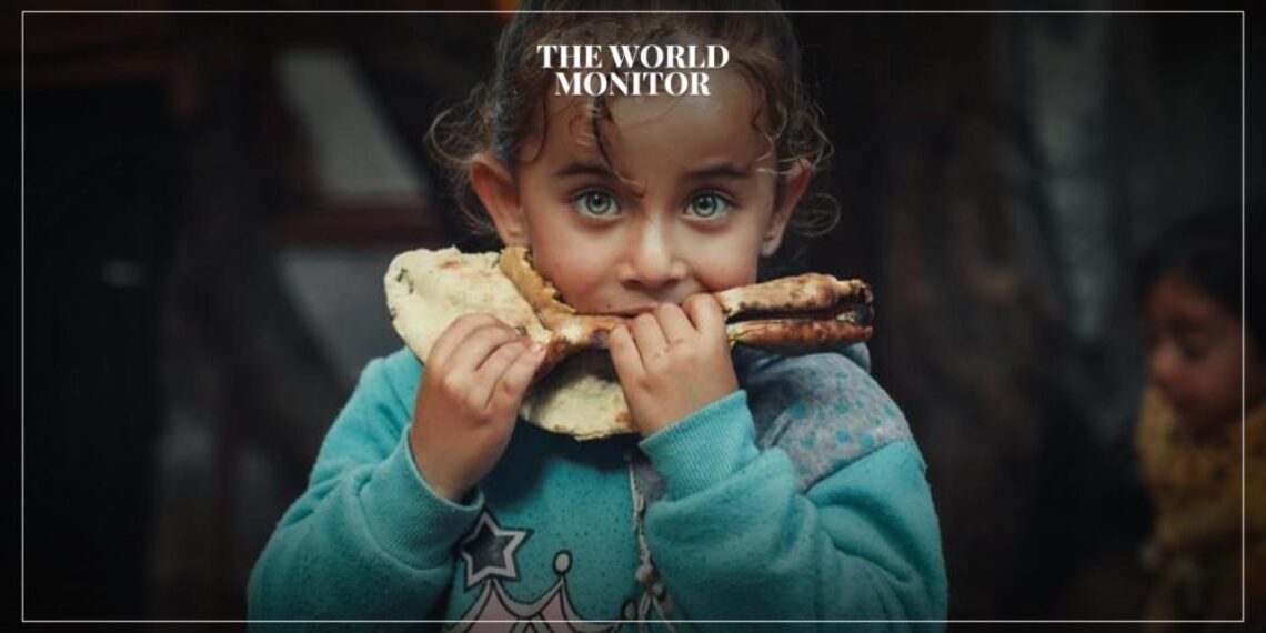 WFP Halts Operations in Gaza