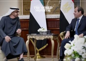 UAE & Egyptian Presidents Hold Meeting to Discuss Bilateral Relations