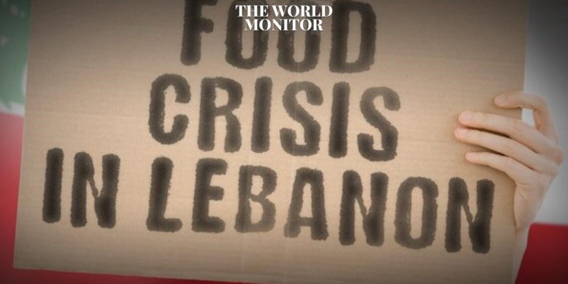 Lebanon's Economy Minister Warns of Food & Medical Crisis
