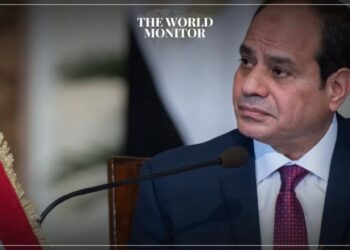 Egypt's Sisi to Visit Turkey