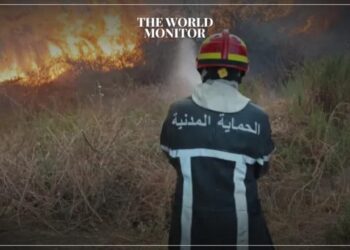 35 Families Evacuated Due to Wildfires in Algeria